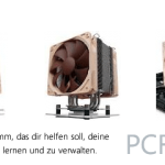 Noctua