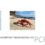 RedCrab