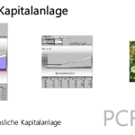 Entwicklung Kapitalanlage